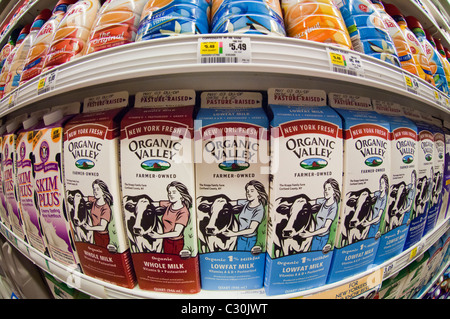 Les contenants de lait biologique dans un supermarché réfrigérateur sont vus sur Mercredi, Avril 20, 2011 (© Richard B. Levine) Banque D'Images