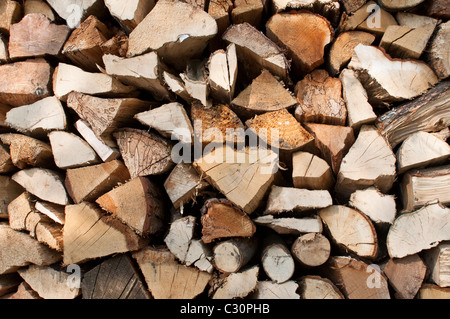 Une pile/pile de grumes sécher au soleil dans les régions rurales de Northumberland, England, UK. Banque D'Images