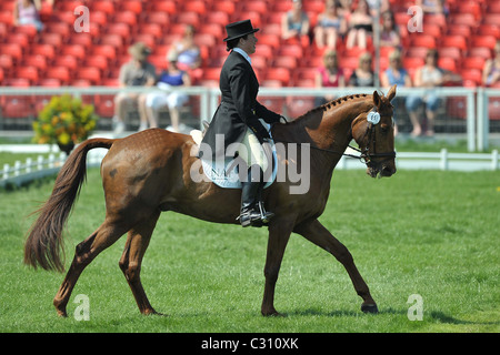 Rosie Thomas équitation BARRY'S BEST. Mitsubishi Badminton Horse Trials Banque D'Images