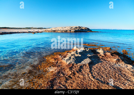 Un cadre paradisiaque plage de la région de Illetas à Formentera, une île méditerranéenne de l'Espagne. Banque D'Images