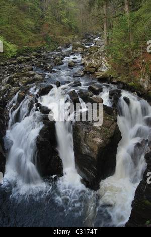 Les chutes sur la rivière Braan à l'Hermitage près de Dunkeld Banque D'Images