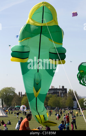 Un grand cerf-volant en forme de poisson vert à Streatham Park family kite jour. Banque D'Images