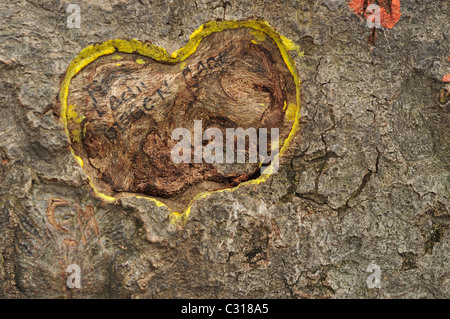 Coeur jaune sculpté sur une écorce d'arbre avec des noms. Banque D'Images