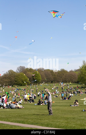 Streatham Park, kite jour. Banque D'Images