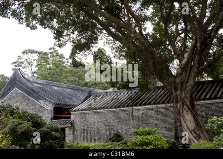 Une vue aérienne sur les toits de tuiles chinoises dans un ancien village chinois Banque D'Images