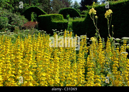 Le jardin du cloître végétal, LE PARC ET LES JARDINS DU CHÂTEAU DE VANDRIMARE, EURE (27), FRANCE Banque D'Images