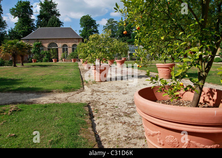 L'Orangerie, PARC ET JARDINS DU CHÂTEAU DE VANDRIMARE, EURE (27), FRANCE Banque D'Images