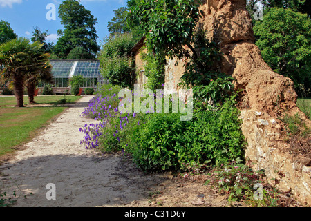 Les serres et l'Orangerie, PARC ET JARDINS DU CHÂTEAU DE VANDRIMARE, EURE (27), FRANCE Banque D'Images