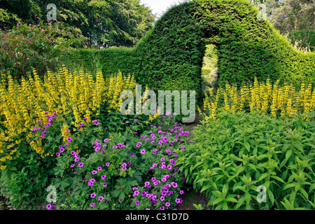 Le jardin du cloître végétal, LE PARC ET LES JARDINS DU CHÂTEAU DE VANDRIMARE, EURE (27), FRANCE Banque D'Images