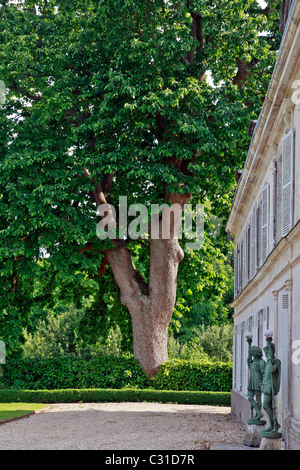 MAGNOLIA GÉANT DE PLUS DE 200 ANS (Arbre remarquable), LE PARC ET LES JARDINS DU CHÂTEAU DE VANDRIMARE, EURE (27), FRANCE Banque D'Images