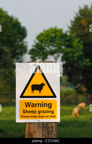 Panneau d'avertissement - moutons, veuillez gardez les chiens en laisse Banque D'Images