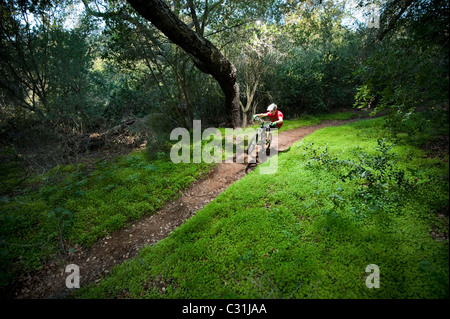 Un jeune homme chevauche son vtt de descente sur un chemin entouré de verdure très trèfles. Banque D'Images