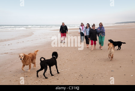 Une famille promènent leurs chiens sur la plage, Holkham North Norfolk Coast, UK Banque D'Images