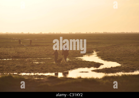 Chasseurs DANS UNE PRAIRIE DU SEL DANS LA BAIE DE SOMME, SOMME (80), FRANCE Banque D'Images