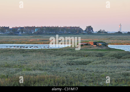 Masquer des chasseurs SUR LES RIVES D'UN ÉTANG ET, EN ARRIÈRE-PLAN, LE PETIT PORT DE HOURDEL, Baie de Somme, Somme (80), FRANCE Banque D'Images