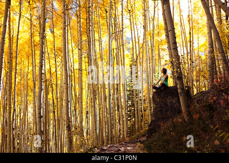 Une jeune femme médite paisiblement sur un rocher au milieu d'une mer de feuilles d'or. Banque D'Images