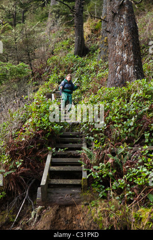 Un randonneur marche dans les marches de bois qui mènent à la troisième plage, Olympic National Park, Washington. Banque D'Images