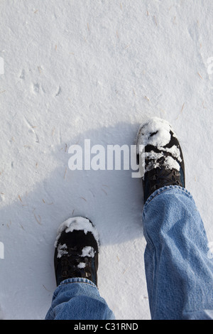 Traces dans le paysage d'hiver glacial dans les Cotswolds, Oxfordshire, UK Banque D'Images