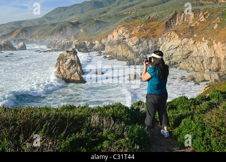 Vue sur le fracas des vagues de Soberanes Point dans Garrapata State Park. Banque D'Images