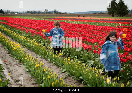 Un garçon et une fille jouer dans le champs de tulipes colorées dans la vallée de la Skagit près de Mt. Vernon, l'État de Washington, USA. Banque D'Images