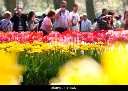 Les visiteurs qui prennent des photos de tulipes au jardin de fleurs Keukenhof Lisse. Dessin d'attraction touristique des foules considérables sur une journée ensoleillée. Banque D'Images