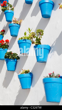 Pots bleu sur mur blanc dans le Patio de las Comedias, village Iznajar, Cordoba province, Andalusia, Spain Banque D'Images