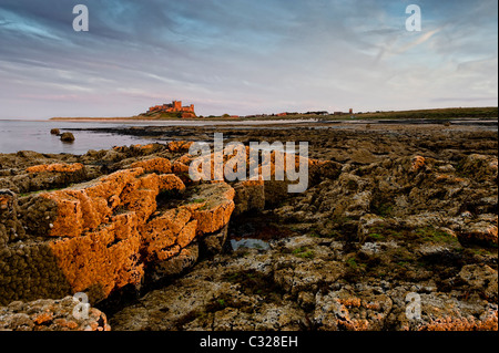 Rochers au bord de la mer et château de Bamburgh éclairées par le soleil du soir sur la côte de Northumberland Banque D'Images