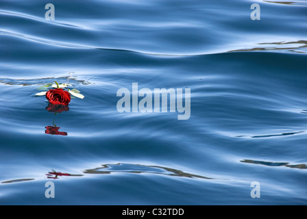 Une rose rouge flotte dans les calmes eaux bleues du lac Tahoe, CA. Banque D'Images