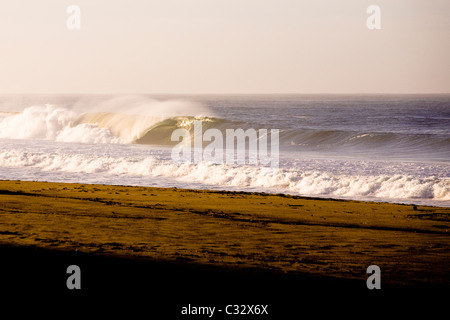 Un grand nombre de barils en vague à l'Ouest, plage de Malibu, Californie. Banque D'Images