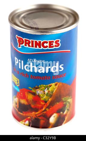 Petite boîte de sardines de l'Atlantique Princes en sauce tomate Banque D'Images