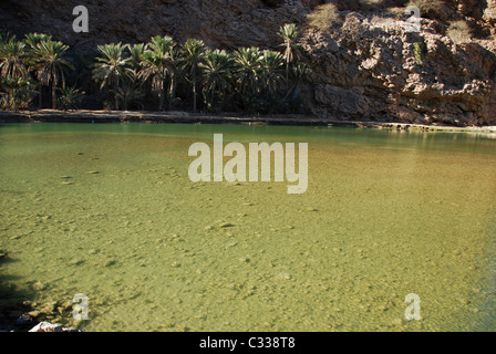 Oman, Wadi Shab, pristine naturelles piscines vert avec des palmiers, longeant des falaises rocheuses et Banque D'Images