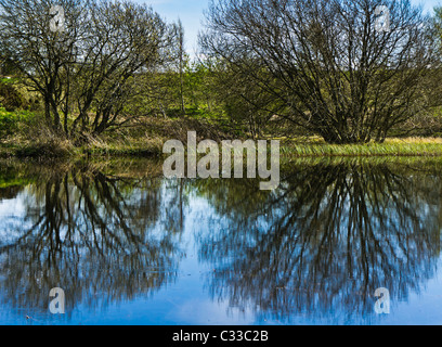 Lindean Loch, près de Selkirk, au début du printemps. Banque D'Images