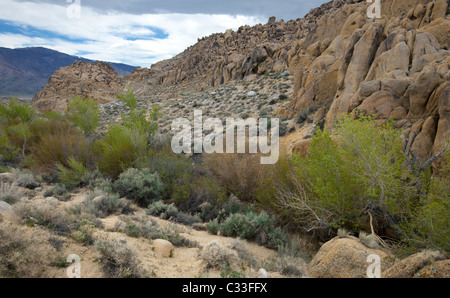 Alabama Hills et Lone Pine Creek, CA, printemps 2011. Banque D'Images