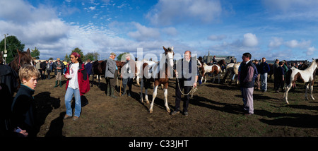 Ballinasloe, Co Galway, Irlande, foire traditionnelle Banque D'Images