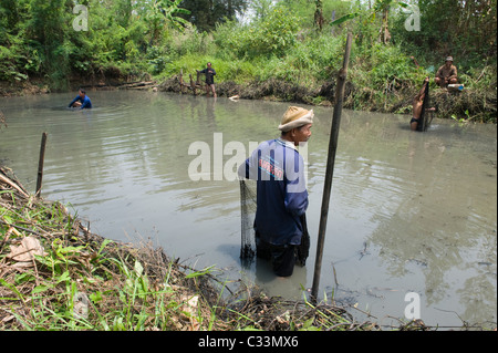 Thai pêcheurs dans une digue dans le canal de drainage du nord de l'Isan est de la Thaïlande. Ils utilisent des filets jeter pondérée. Banque D'Images