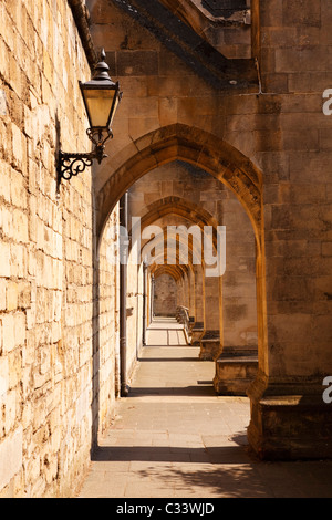 20e siècle, des arcs-boutants de renforcement sur le mur sud de la cathédrale de Winchester. Banque D'Images