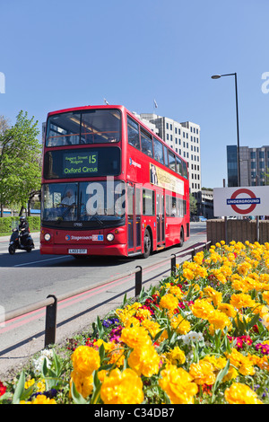 Bus à impériale rouge voyageant en fleurs fleurs de printemps passé à Tower Hill, London, England, UK Banque D'Images