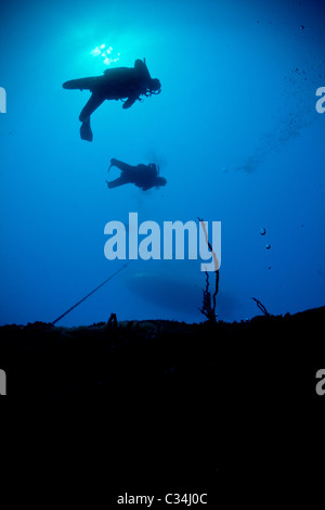 Les plongeurs au Honduras descendre sur une épave Banque D'Images