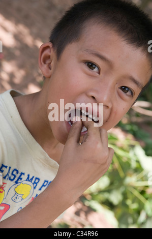 Un jeune garçon thaïlandais manger cru tree fourmis et lavae quand dehors à la recherche de fourmis arbre brun avec son père dans le Nord Est de la Thaïlande. Banque D'Images