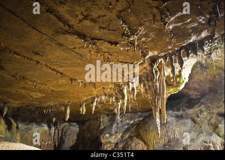 Stalactites à Ingleborough Cave, Clapham, North Yorkshire Dales. Banque D'Images