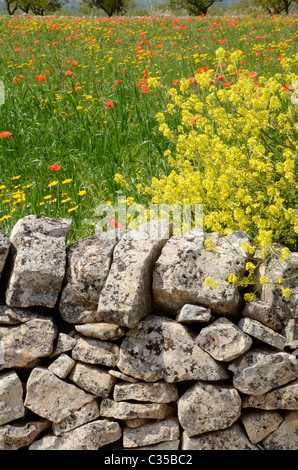 Vue sur la campagne des Pouilles, Italie du sud Banque D'Images