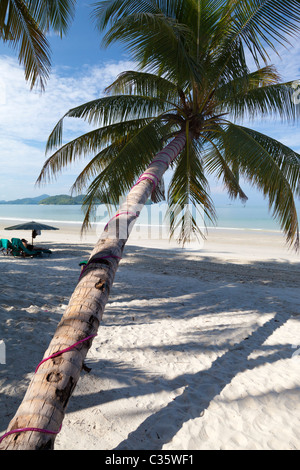 Rêve tropical beach at sur Pantai Cenang Langkawi, Malaisie Banque D'Images