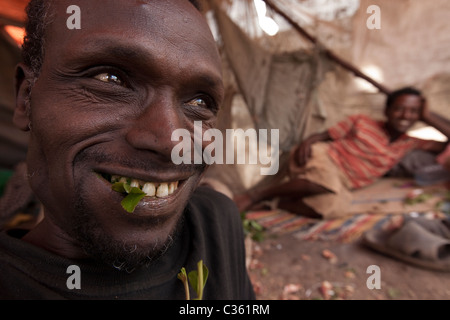 Le khât chewer feuilles à mâcher - Vieille ville de Harar, Ethiopie, Afrique Banque D'Images