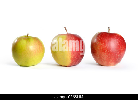 Trois pommes. Vert, à moitié rouge et rouge. Isolé sur fond blanc Banque D'Images