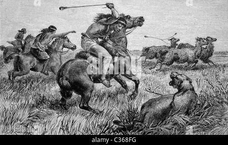 Patagons chasse pour un lion, puma, images historiques, 1886 Banque D'Images