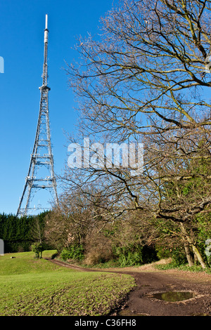 Crystal Palace Park dans le sud de Londres avec le Palais de Cristal émetteur de télévision dans l'arrière-plan sur un jour d'hiver ensoleillé Banque D'Images