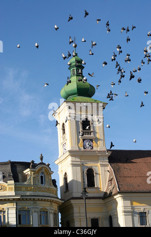 Pigeons de vol en face de l'ancienne tour de Sibiu Banque D'Images