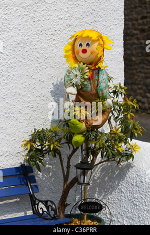 Poupée Garden Sunflower assise sur un mur blanc ; Décoration au festival annuel de la carecrow et du village de Wray, Lancaster, Lancashire, Royaume-Uni Banque D'Images