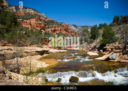 Oak Creek qui coule à travers Slide Rock State Park à Sedona, Arizona, USA Banque D'Images