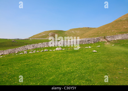 Champs et des murs de pierres sèches au-dessus de Malham, Malhamdale, Yorkshire du Nord, Yorkshire Dales National Park, England, UK. Banque D'Images